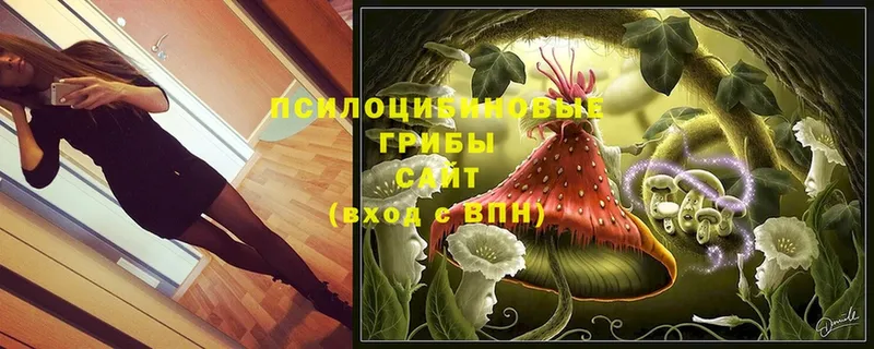 OMG зеркало  Избербаш  Галлюциногенные грибы Magic Shrooms 